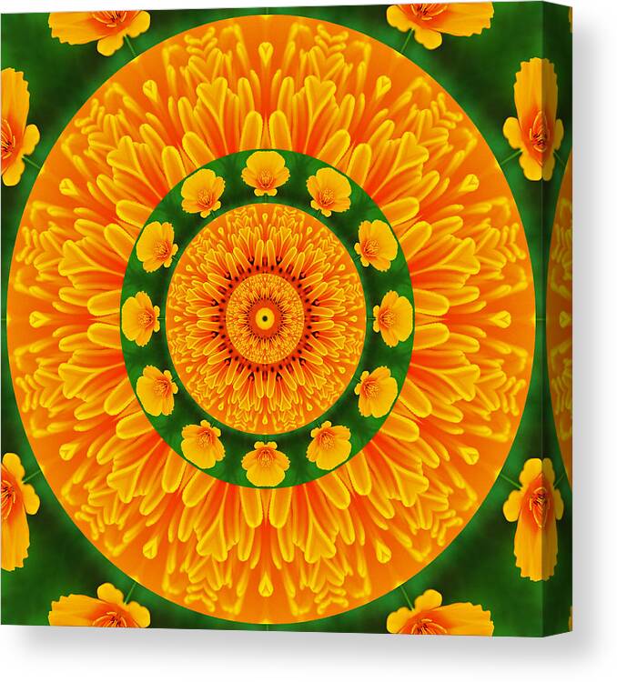 Kaleidoscope Canvas Print featuring the photograph California Poppy Pizzazz by Liz Mackney