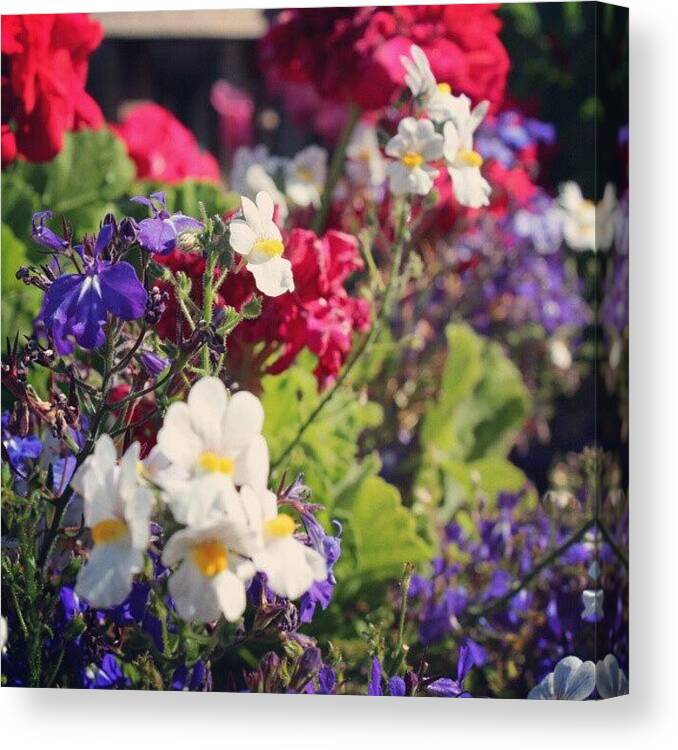 Beautiful Canvas Print featuring the photograph Can It Be Spring Already? by Saul Jesse Beas