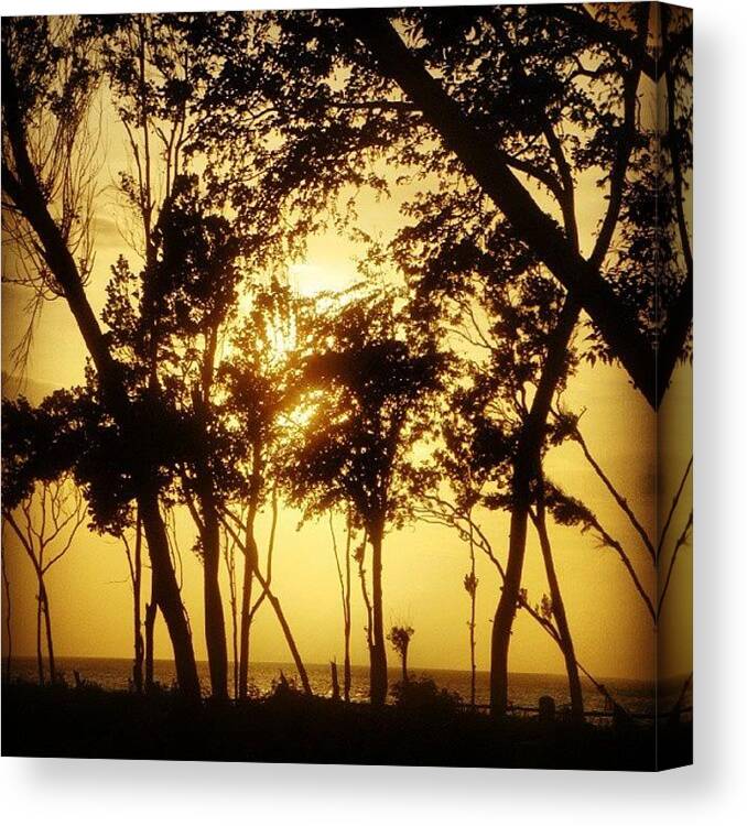  Canvas Print featuring the photograph Caribbean Sunset by Arminda Mota
