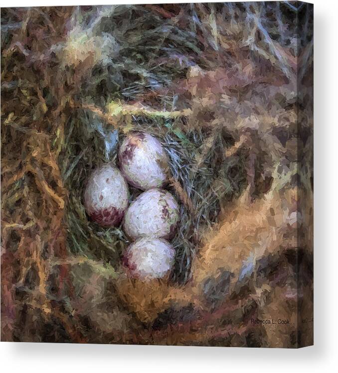Carolina Wren Nest Canvas Print featuring the photograph Carolina Wren Nest by Bellesouth Studio