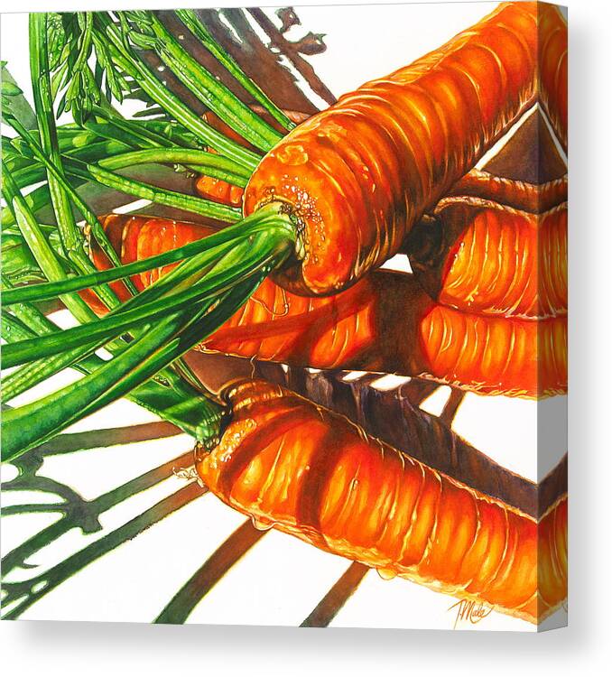 Carrots Canvas Print featuring the painting Carrot Top Shadows by Tracy Male