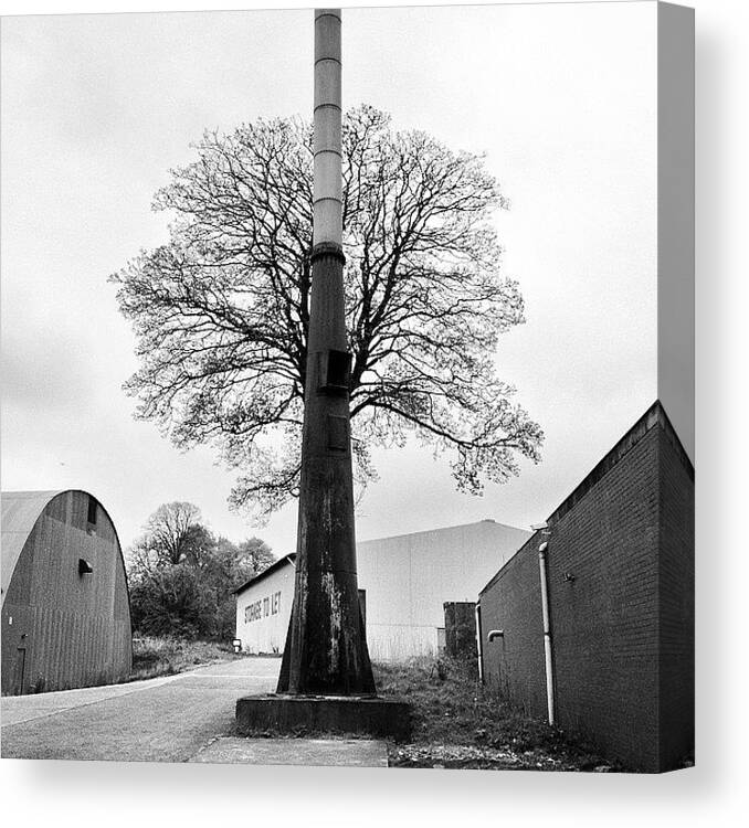 Instagramopolis Canvas Print featuring the photograph Chimney Tree by Carlos Macia Perez