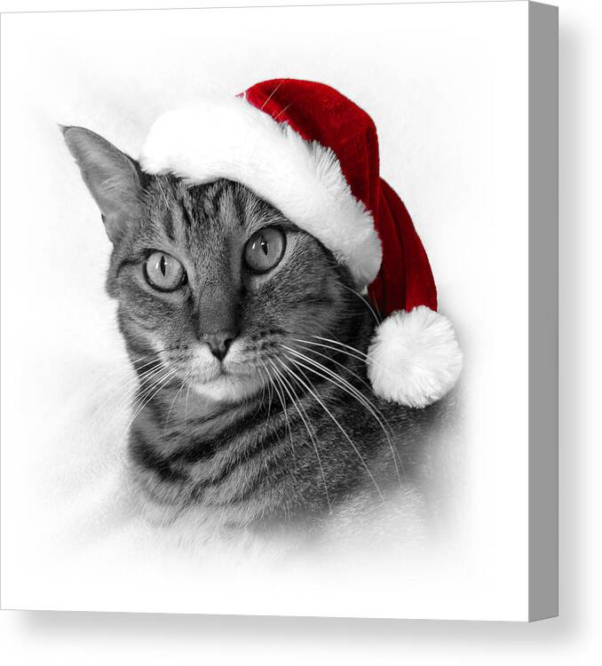 Christmas Cat Canvas Print featuring the photograph Christmas Cat 1 by Helene U Taylor