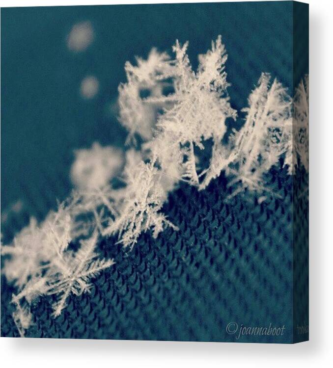 Macro_igers Canvas Print featuring the photograph Cluster Of Snowflakes by Joanna Boot