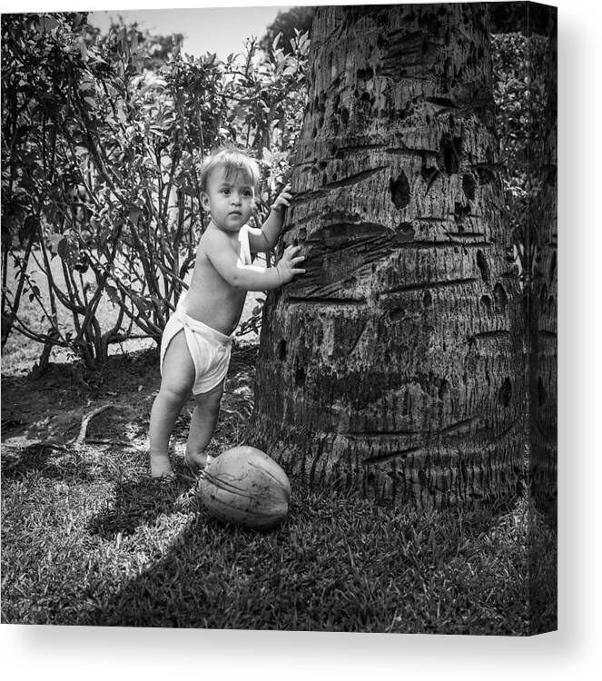 Coconut Canvas Print featuring the photograph Coconut Baby by Ray Congrove