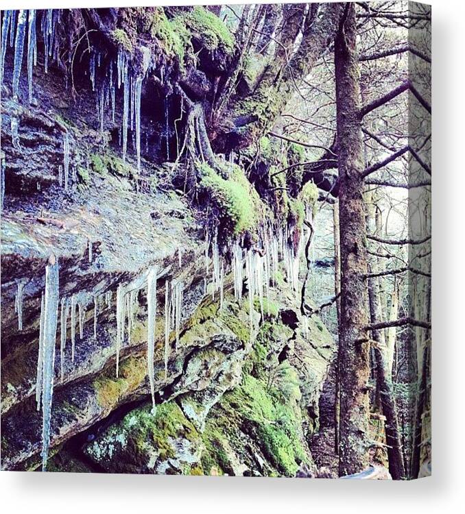 Ice Canvas Print featuring the photograph Cold as Ice by Kerri Green