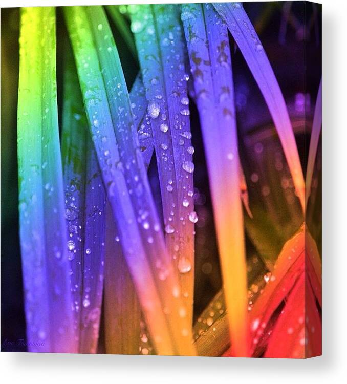 Beautiful Canvas Print featuring the photograph Colorful💛💙💜💚 by Eve Tamminen