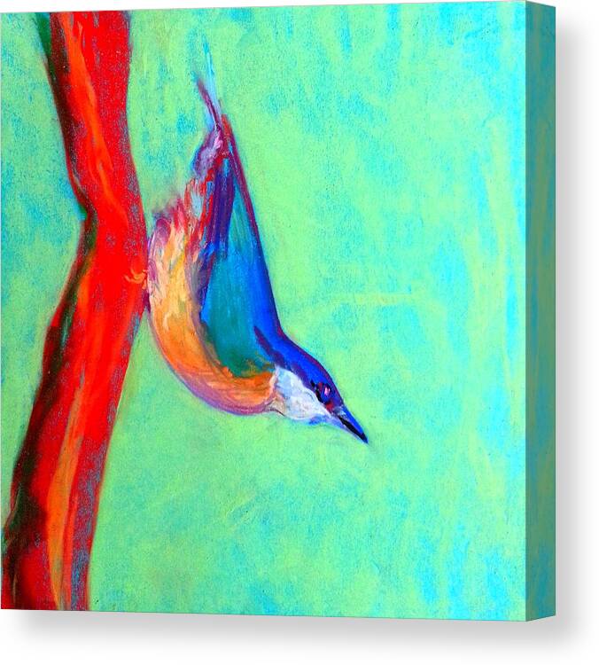 Bird Nuthatch Nut-hatch Colorful Whimsical Quirky Decorative Colourful Bright Vibrant Pastel Soft Pastels Soft-pastels Painting Pretty Unique Style Bold Strokes Birdie Birds Birdies Heart-warming Cute Child's-room Childs Child's Room Vivid Drawing Sketch Loose Distinctive Funny Fun Blue Green Red Yellow Cheerful Brighten Canvas Print featuring the painting Colorful Nuthatch Bird by Sue Jacobi