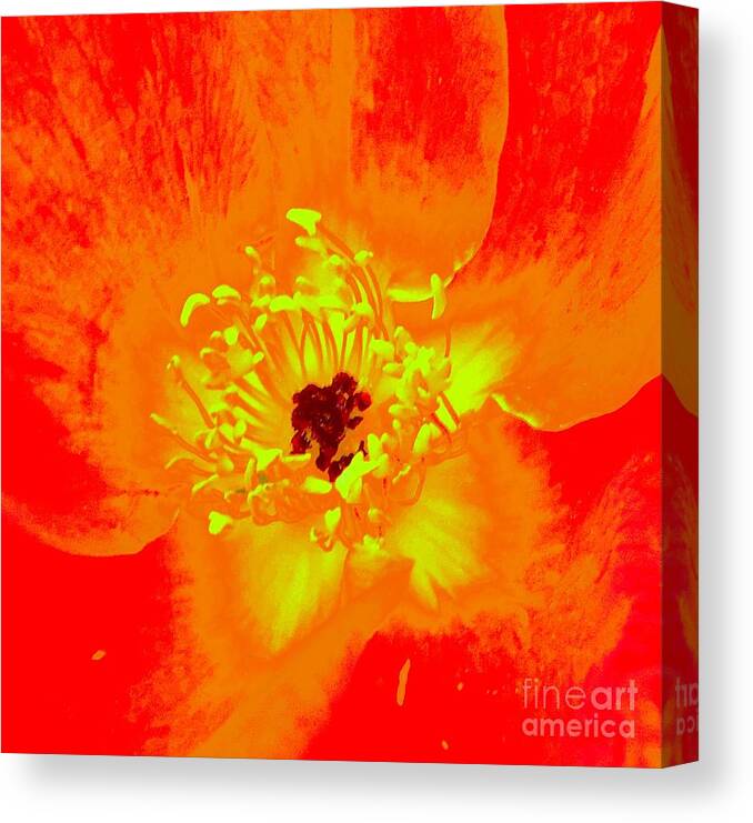  Canvas Print featuring the photograph Come Closer Rose by Ann Johndro-Collins