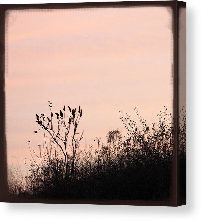 Cooper Ridge Sunrise Canvas Print featuring the photograph Cooper Ridge Sunrise by Penny Hunt
