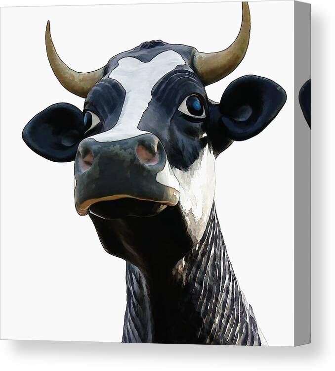Cow Canvas Print featuring the photograph Cow by Jenny Hudson