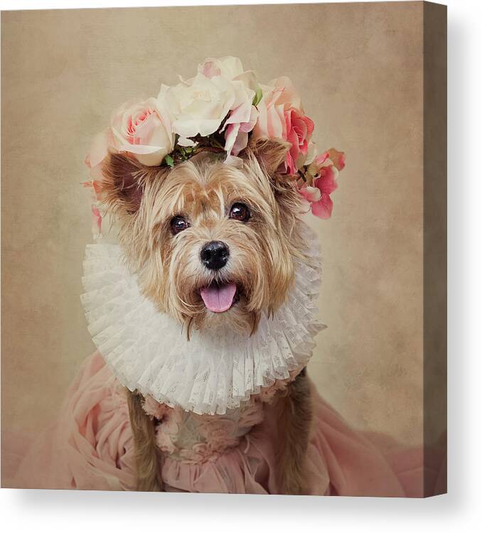 Dog Canvas Print featuring the photograph Cricket by Tammy Swarek