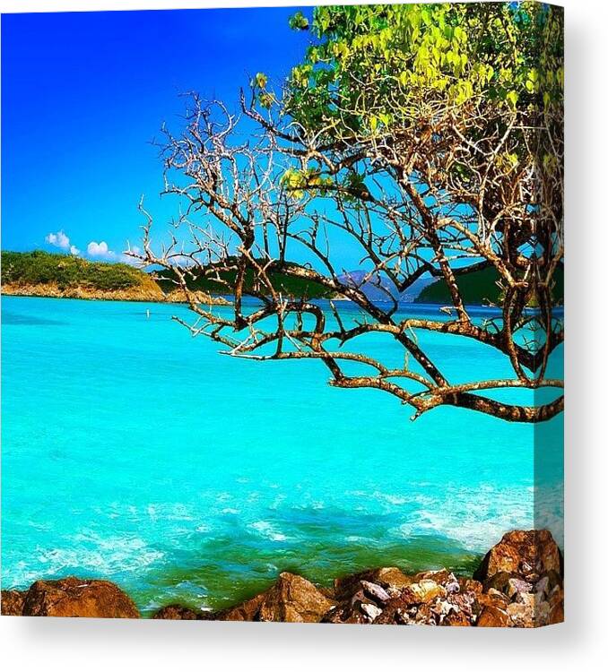 Beautiful Canvas Print featuring the photograph Crystal Blue Caribbean Sea #stjohns by Priscilla Lupo