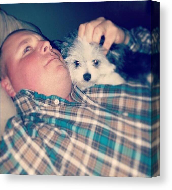 Countrydog Canvas Print featuring the photograph Daddy Baby Moment Lol #sophie #pomie by Becky Gonzalez