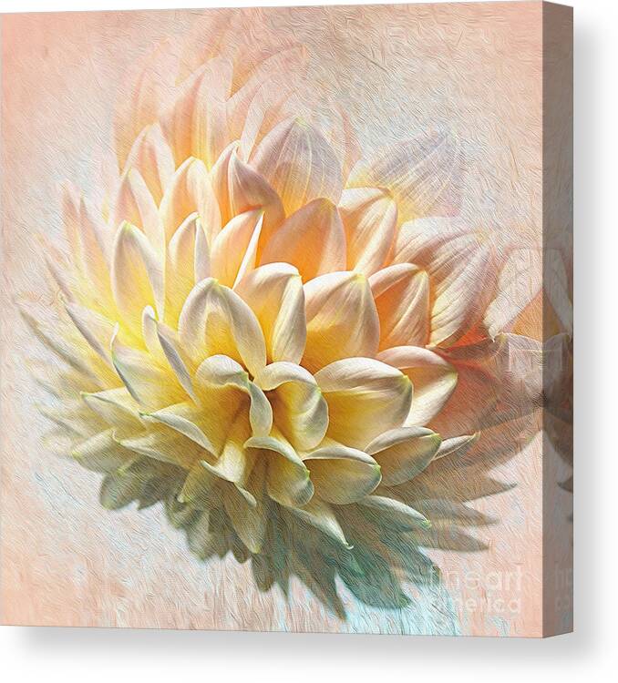 Photography Canvas Print featuring the photograph Dahlia Art by Kaye Menner