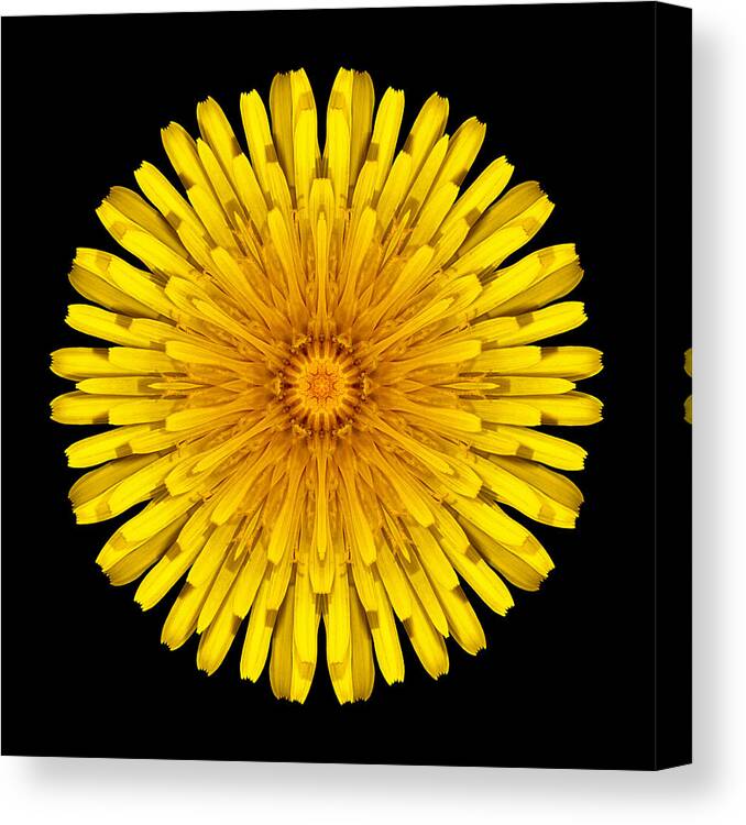 Flower Canvas Print featuring the photograph Dandelion Flower Mandala by David J Bookbinder