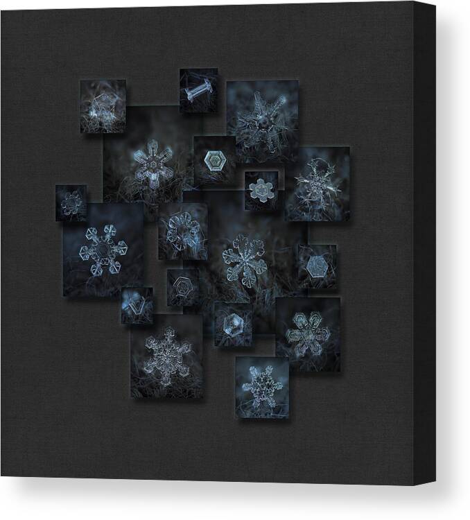 Snowflake Canvas Print featuring the photograph Snowflake collage - Dark crystals 2012-2014 by Alexey Kljatov