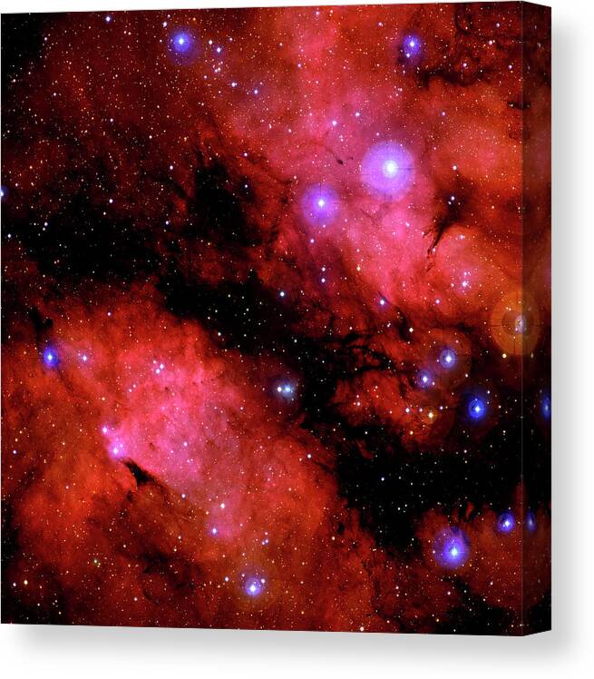 Ldn 889 Canvas Print featuring the photograph Dark Nebula Ldn 889 by Canada-france-hawaii Telescope/jean-charles Cuillandre/science Photo Library