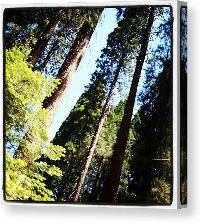 California Canvas Print featuring the photograph Day Trip by Angie Jones