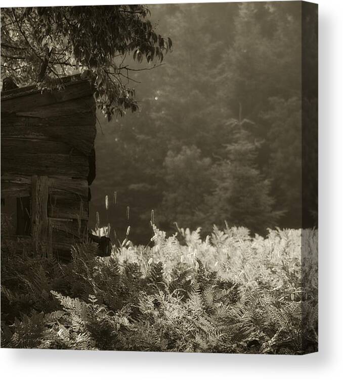 Hovind Canvas Print featuring the photograph Deer Blind by Scott Hovind