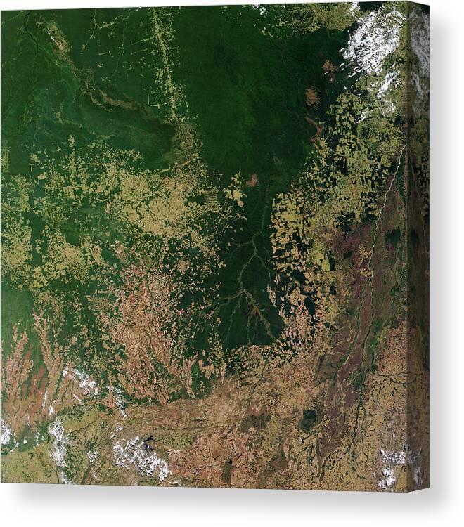 Rainforest Canvas Print featuring the photograph Deforestation In Brazil (2 Of 2) by Robert Simmon/gsfc/nasa/science Photo Library