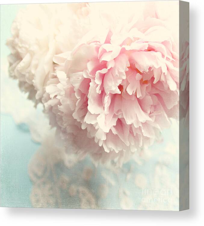 Peony Canvas Print featuring the photograph Delicate by Sylvia Cook