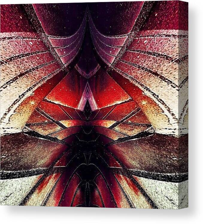 Symmetry_art Canvas Print featuring the photograph Digital Samurai by Aubrey Erickson