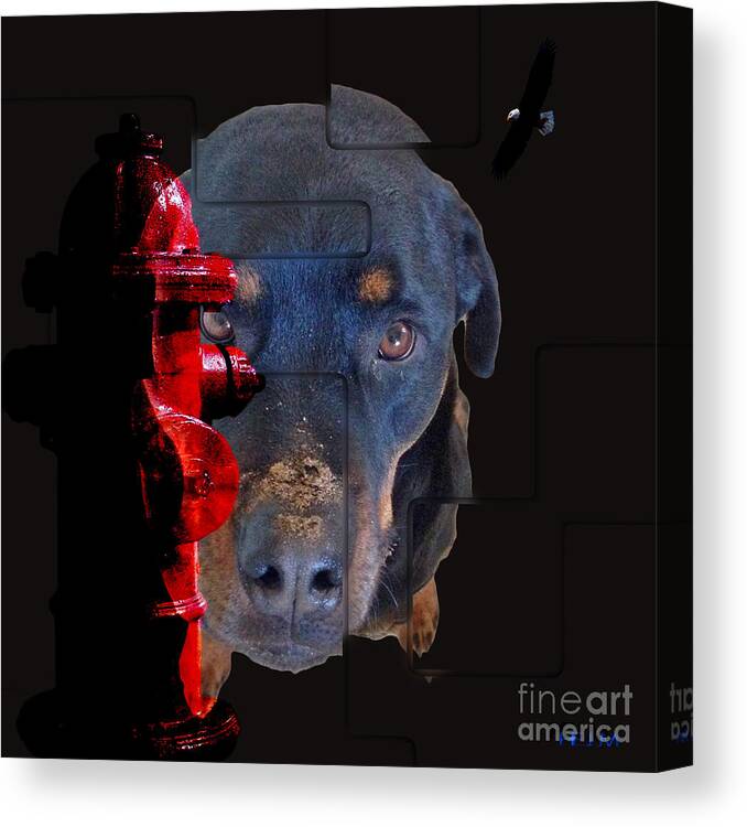 Gods Canvas Print featuring the photograph Dirty Dog, Dirt, What dirt, Hole, What hole by Mayhem Mediums