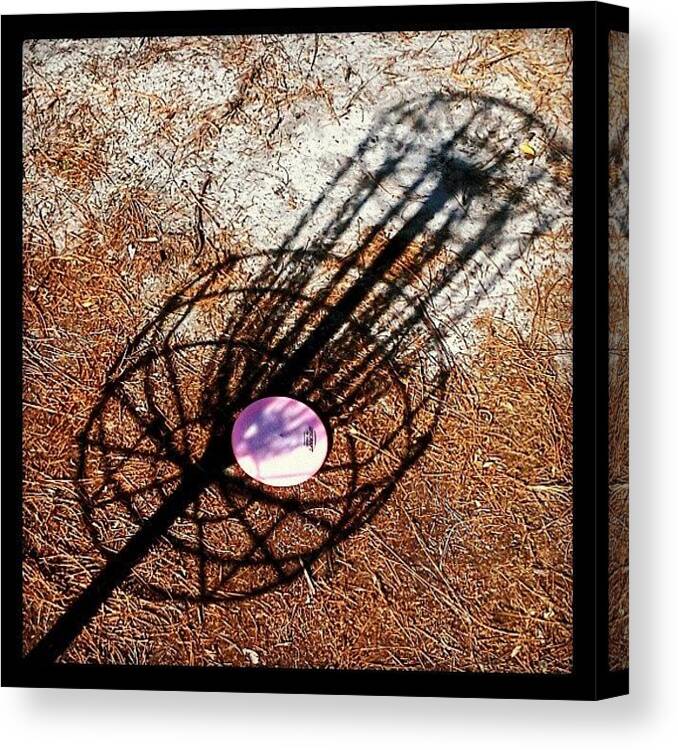 Pink Canvas Print featuring the photograph #discgolf #shadow #ace #malabar by Larry Calabrese