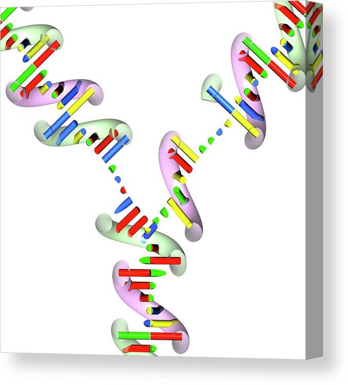 Abstract Canvas Print featuring the photograph Dna Replication by Russell Kightley
