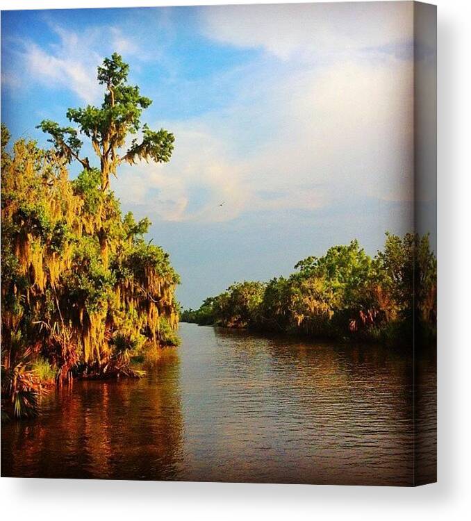  Canvas Print featuring the photograph Down On The Bayou by Tyler B