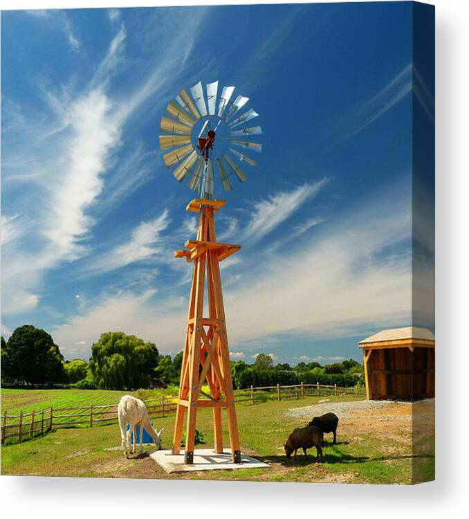 Windmill Canvas Print featuring the photograph Down on the Farm by Elaine Franklin