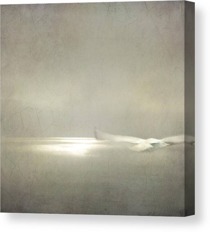 Sally Banfill Canvas Print featuring the photograph Dream Flight by Sally Banfill