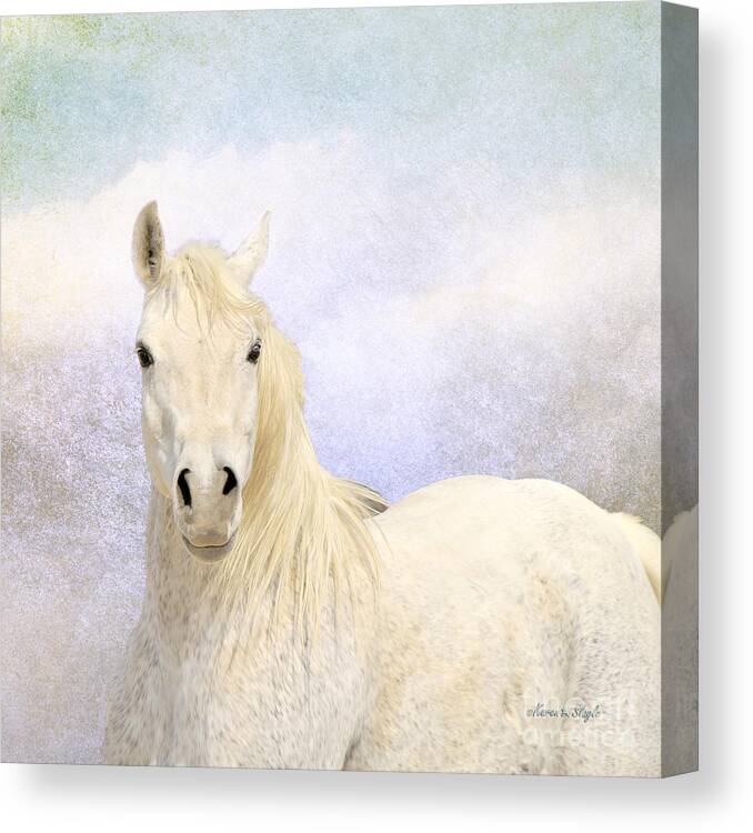 Horse Canvas Print featuring the photograph Dream Horse by Karen Slagle