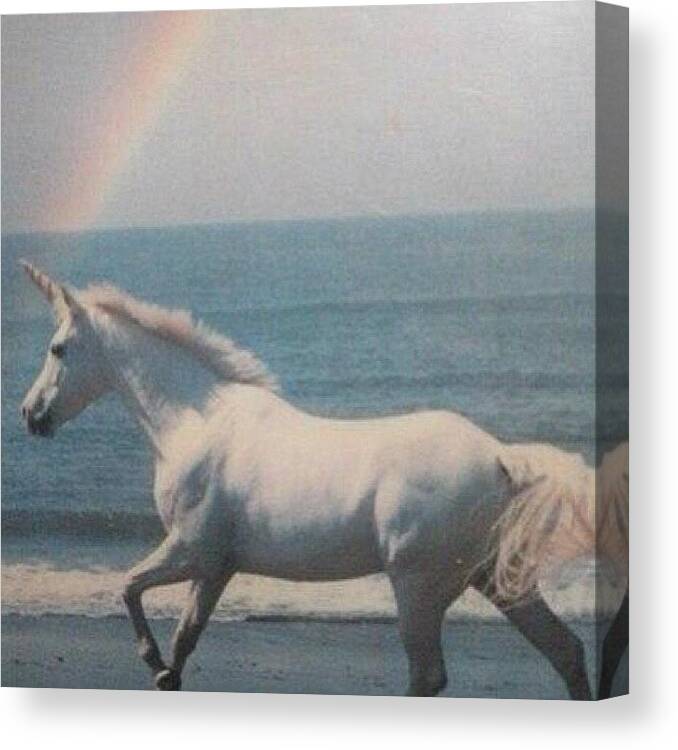 Rainbow Canvas Print featuring the photograph #dream #unicorn #punkdream #once #ever by Katty Foxx