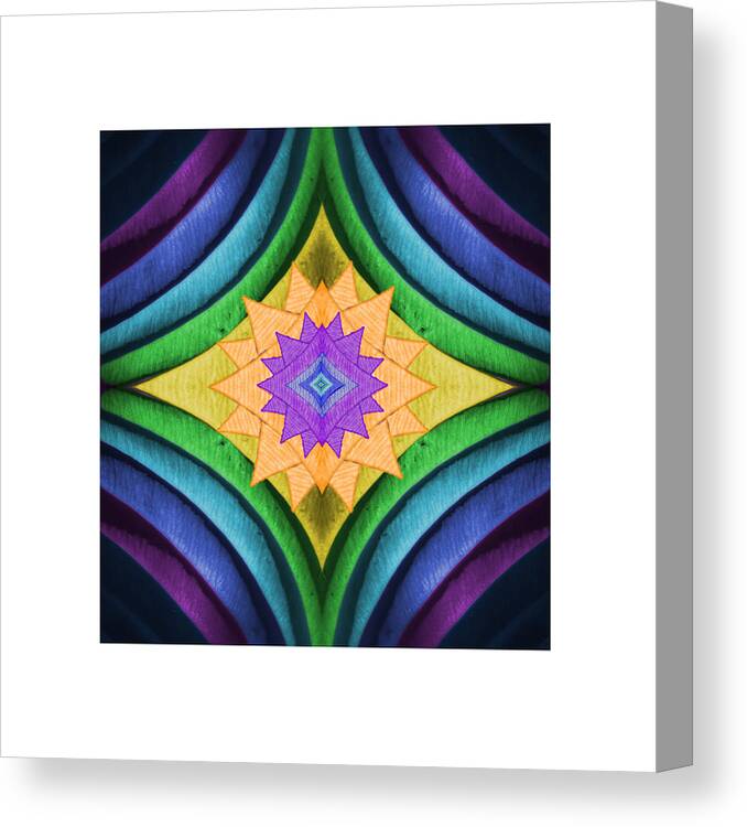 Abstract Canvas Print featuring the photograph Dreamcatcher 2 by Deborah Smith
