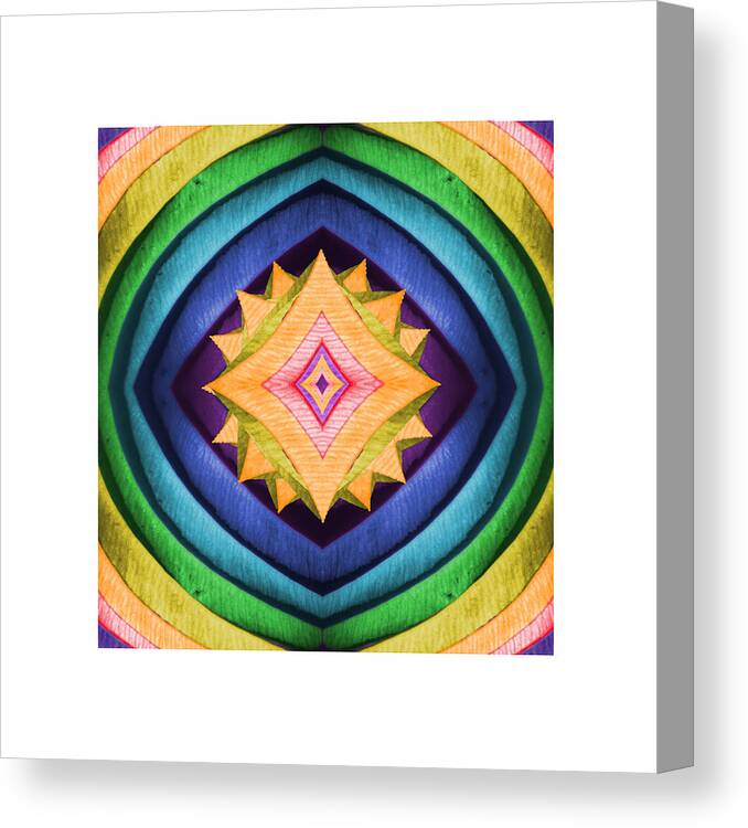 Abstract Canvas Print featuring the photograph Dreamcatcher 3 by Deborah Smith