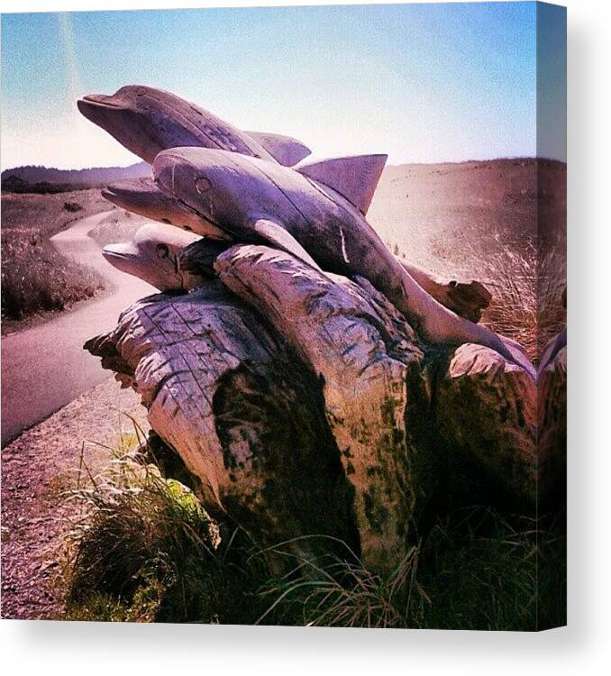 Art Canvas Print featuring the photograph #driftwood #art #dolphins by M R M