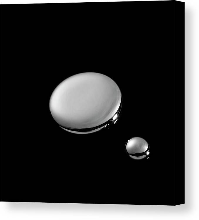 Black Background Canvas Print featuring the photograph Drops Of Mercury by Science Photo Library