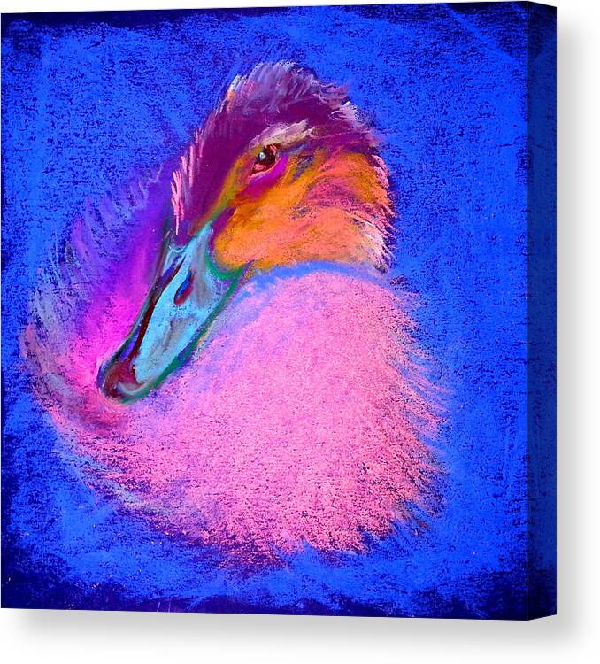 Bird Canvas Print featuring the painting Duckling Pretty in pink by Sue Jacobi