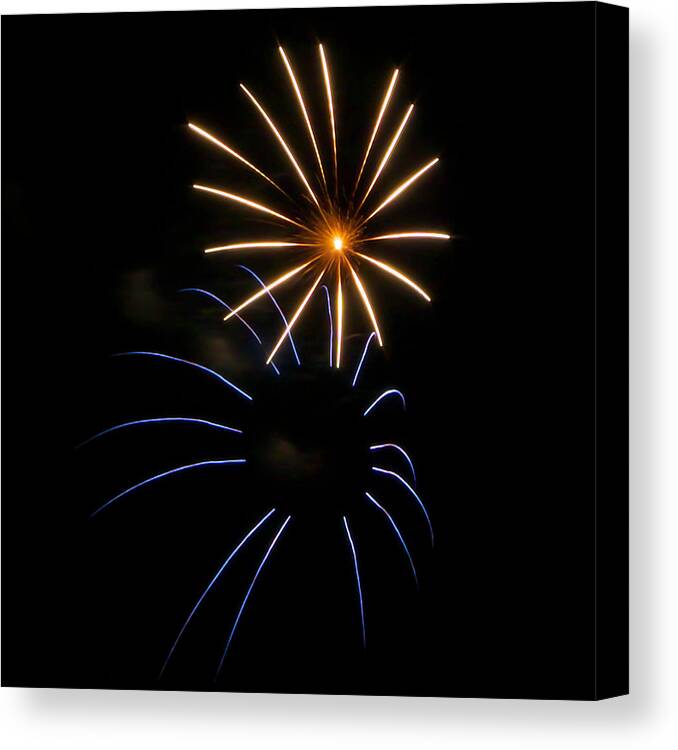 Fireworks Canvas Print featuring the photograph Due Fiori by Glenn DiPaola