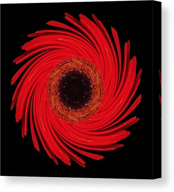 Flower Canvas Print featuring the photograph Dying Amaryllis Flower Mandala by David J Bookbinder