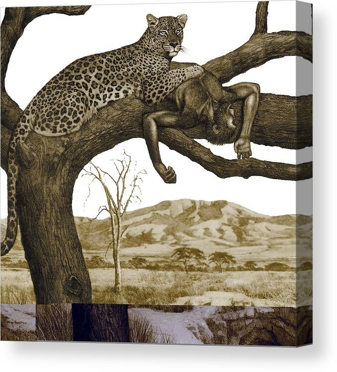 Africa Canvas Print featuring the photograph Early hominid killed by a leopard by Science Photo Library