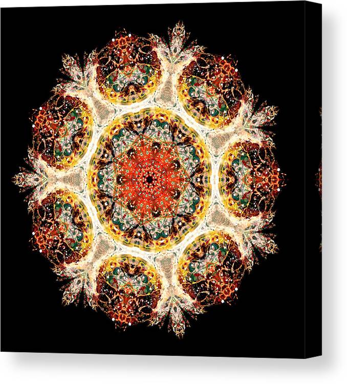 Mandala Canvas Print featuring the photograph Earthmind II by Lisa Lipsett