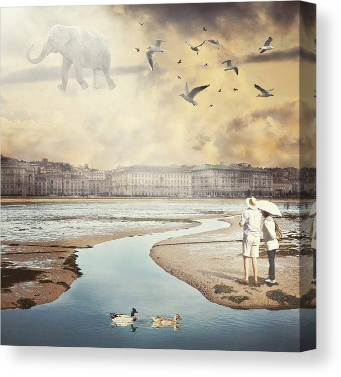Beautiful Canvas Print featuring the photograph #elefant #couple #fly #instadaily by Giuseppe Anello