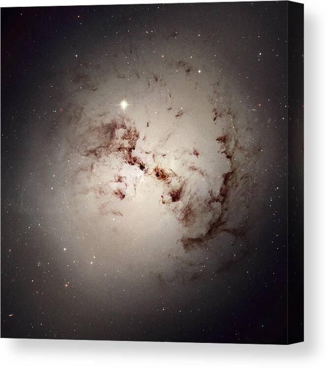 Fornax A Canvas Print featuring the photograph Elliptical Galaxy Ngc 1316 by Science Source