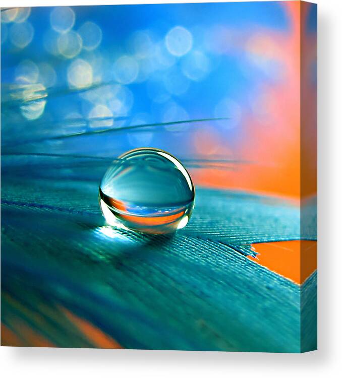 Canon Powershot Sx10 Is Canvas Print featuring the photograph Enchanted by Vesna Viden