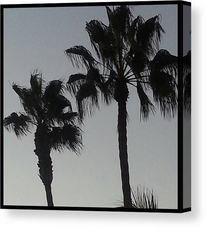 Duh Canvas Print featuring the photograph End Of The Day Courtesy Of Marina Del by Kevin Previtali