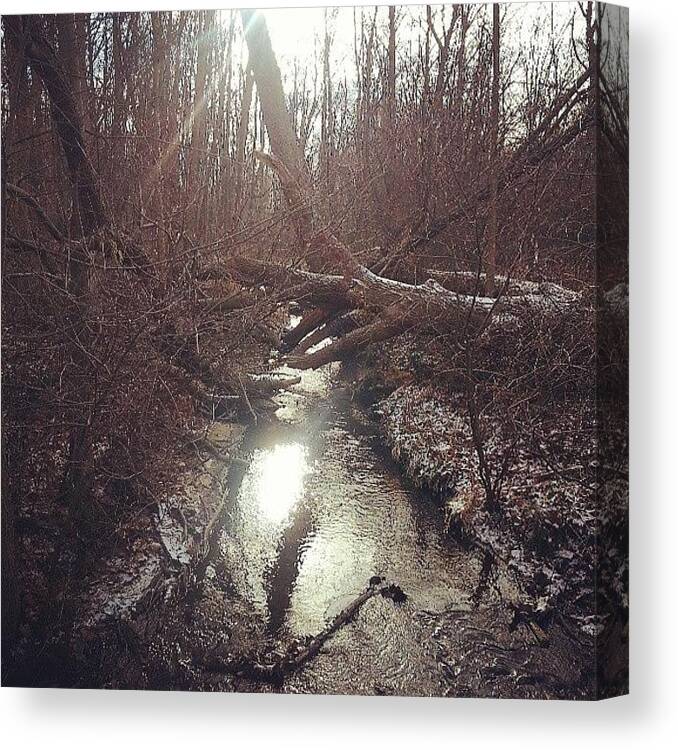 Creek Canvas Print featuring the photograph Exploring In The Back Woods by Jill Tuinier