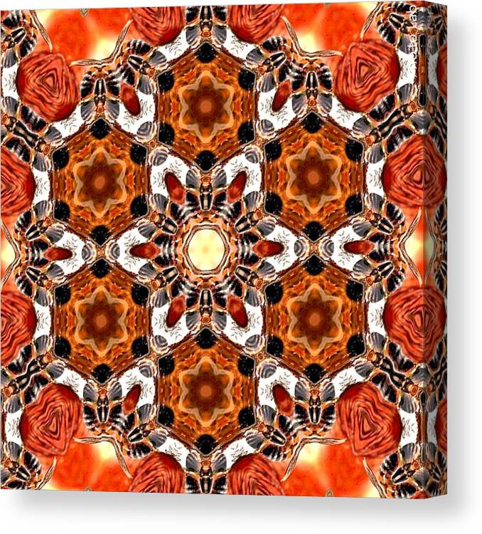 Digital Art Canvas Print featuring the digital art Eye Bee Mandala by Karen Buford